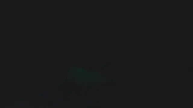 Preview of bobbybullit