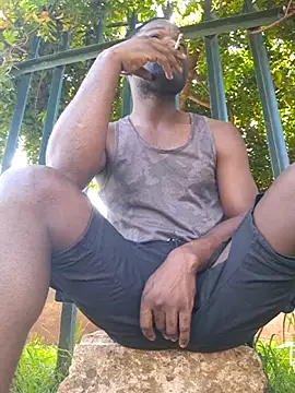 petrossa (M young) - Future plan