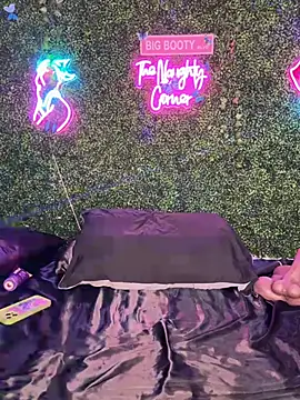 Preview of renathickass