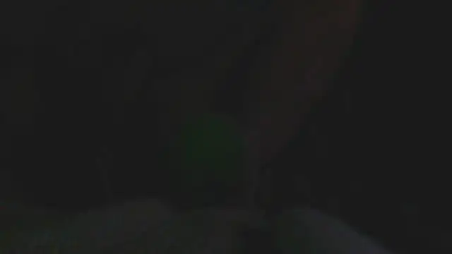 Preview of bobbybullit