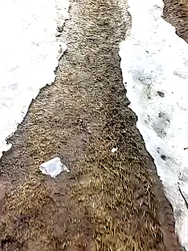 Preview of _uncle_mitya-43_