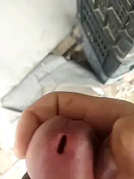 k-27 (M young) - 1000