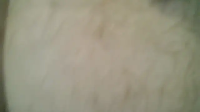 Preview of readytorumble97