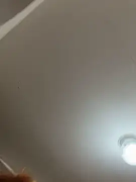 Preview of star_anastasia