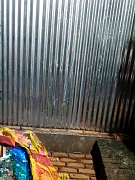 pooja750 - Pooja750's free webcam - UK Sex Cams