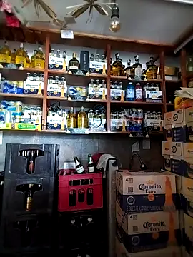 Webcam Model (catalella16)  is live.Free join now!