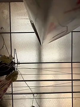 Webcam Model (PamelaJonsom_)  is live.Free join now!