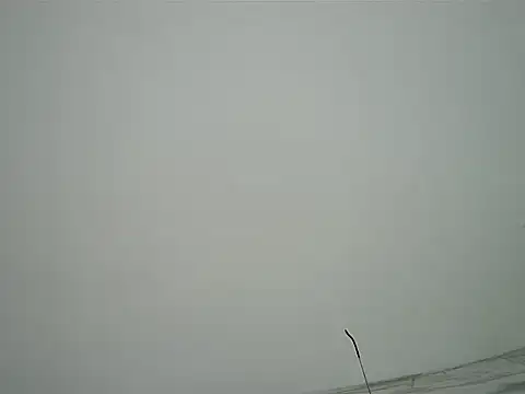 hotzoey16 - Hotzoey16's free webcam - UK Sex Cams