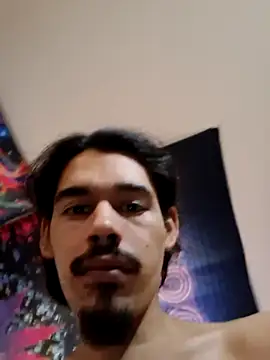 Preview of metazty294