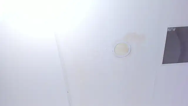 Afbeelding van Cleopatra_Trans