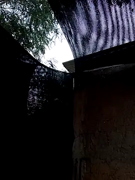 young_dairy01 (F teen) - I get naked and fuck myself in front of