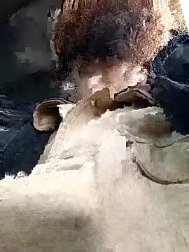 Preview of publicfun206xxx