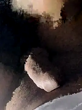 taherdzzf (M young) - 100