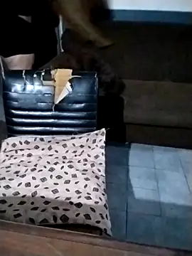 Preview of youladyvidal