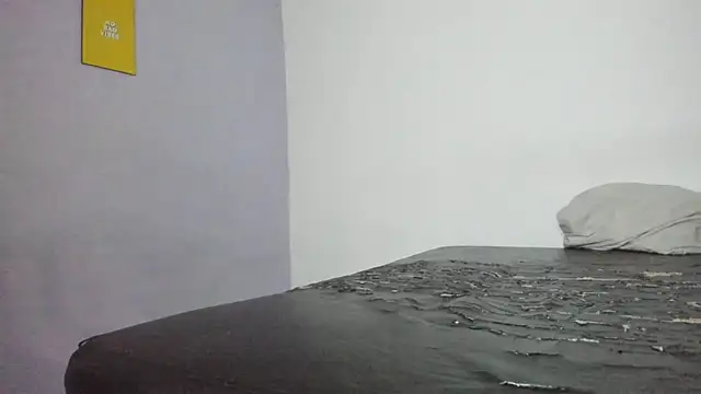 onixandghosty1 Live Webcam on Stripchat