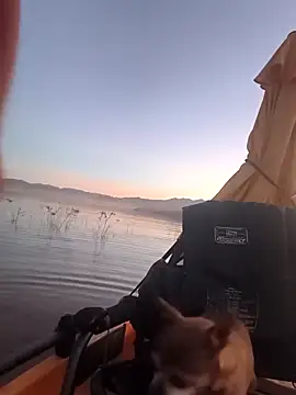 Preview of floppypickle4u