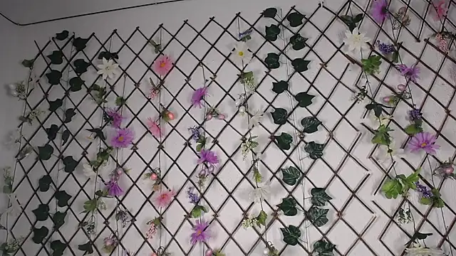 Preview of maylinskye