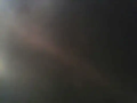 De_maskedcouple webcam