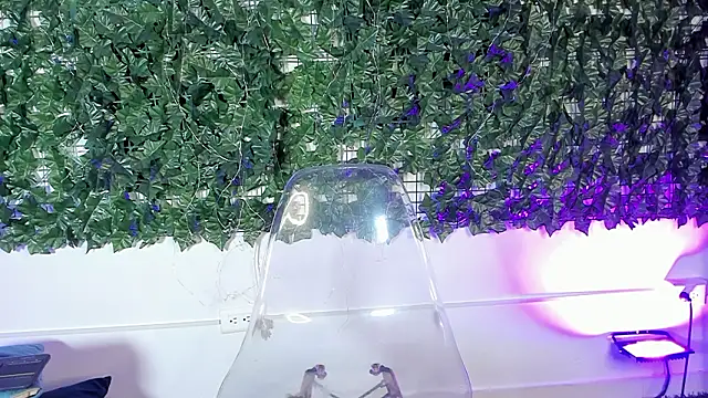 Preview of liilithstonne