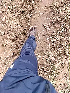 Preview of dolphiinn