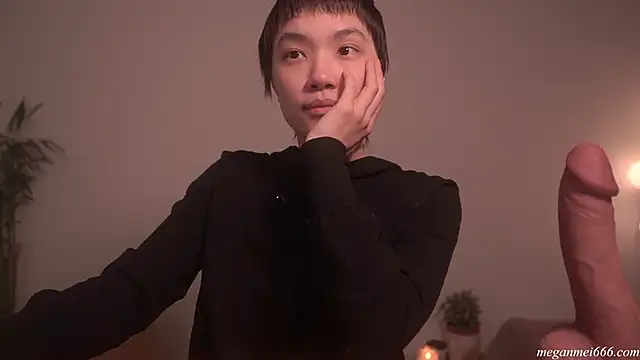 Preview of meganmei666