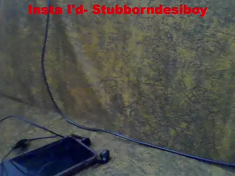 Preview of stubborndesiboy