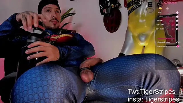 Preview of tigerstripes1_