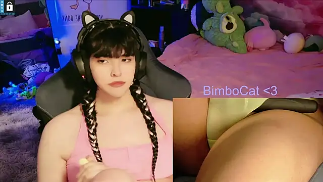BimboCat