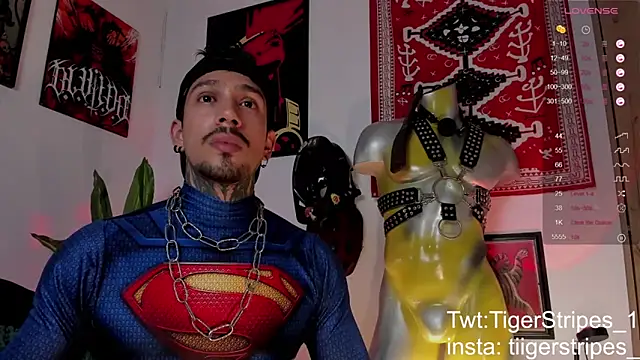 Preview of tigerstripes1_