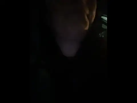 Preview of babii_nova