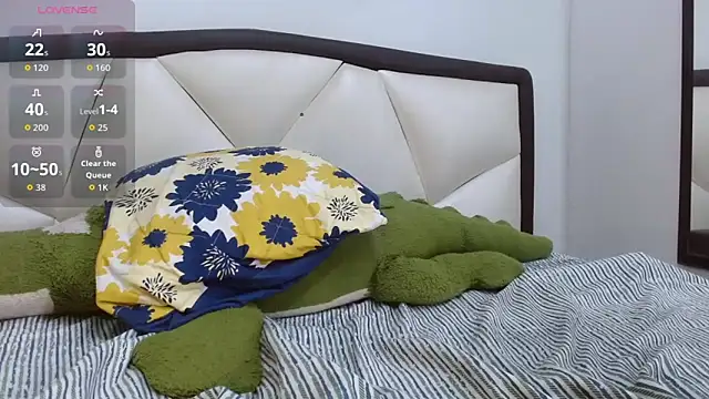 Preview of madison_copers