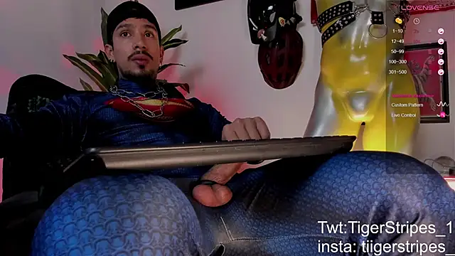 Preview of tigerstripes1_