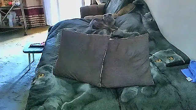 sex2 (F mature) - naked, squirt