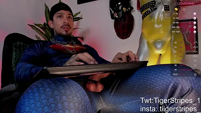 Preview of tigerstripes1_