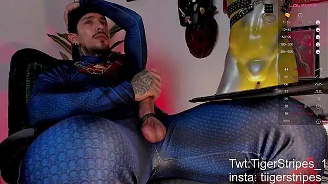 Preview of tigerstripes1_