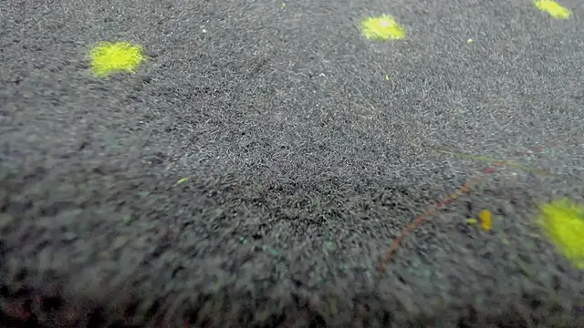 aisharouhi (F young) - ride hard