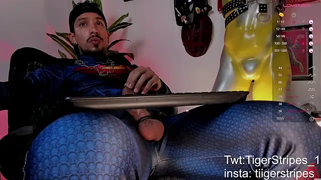 TigerStripes1_ webcam