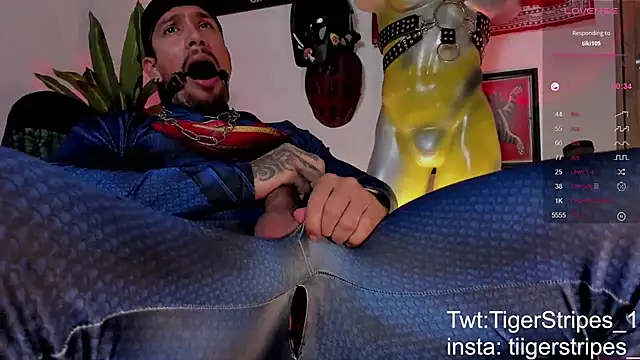 TigerStripes1_ webcam