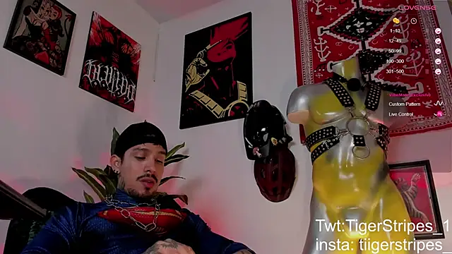 Preview of tigerstripes1_