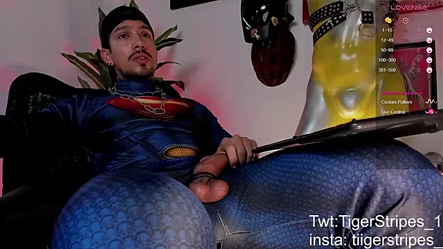 Preview of tigerstripes1_