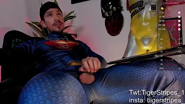 TigerStripes1_ webcam