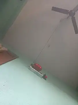 Preview of master_shiva