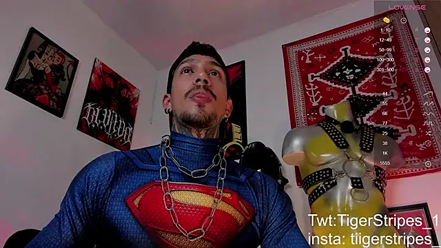 Preview of tigerstripes1_