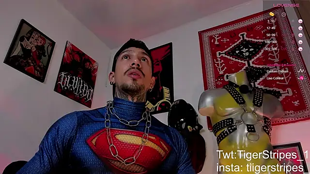 Preview of tigerstripes1_