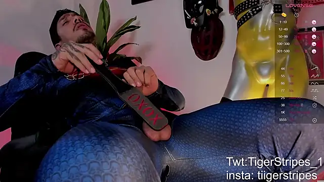 Preview of tigerstripes1_