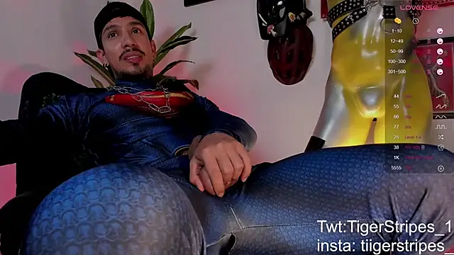 TigerStripes1_ webcam