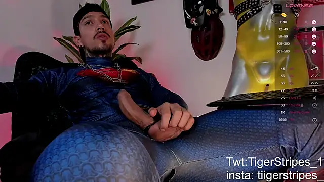 Preview of tigerstripes1_