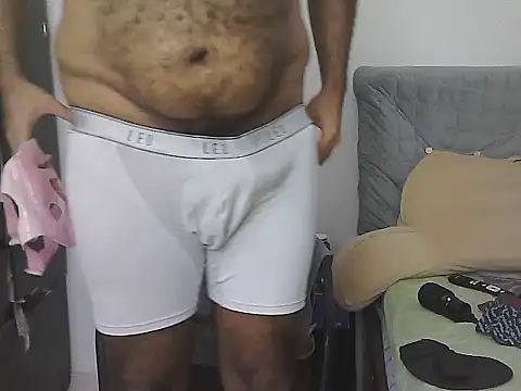 Preview of alphalatinobear