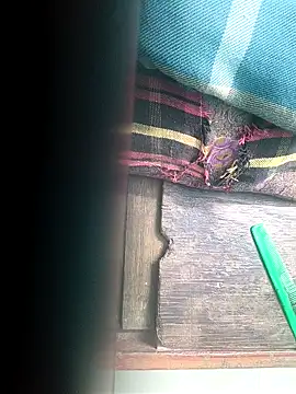 villageanuty (F milf) - Ticket Show