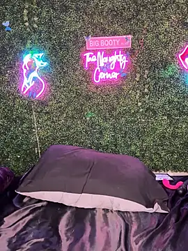 Preview of renathickass